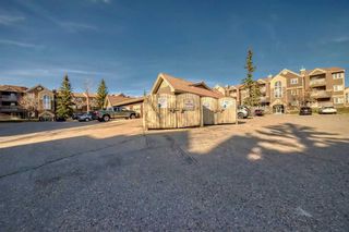 Photo 39: 32 3000 Edenwold Heights NW in Calgary: Edgemont Apartment for sale : MLS®# A2130742