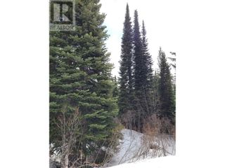 Photo 14: 248 WAPITI CREEK Road in Oliver: Vacant Land for sale : MLS®# 10300794