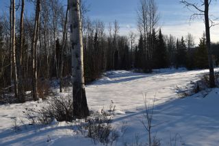Photo 5: Lot 1 FREELAND AVENUE in Smithers: Smithers - Rural Land for sale (Smithers And Area (Zone 54))  : MLS®# R2645316