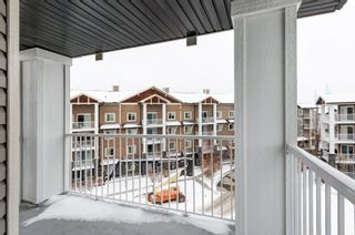 Photo 28: 4407 115 Prestwick Villas SE in Calgary: McKenzie Towne Apartment for sale : MLS®# A2022440