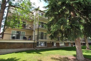 Photo 6: 304 635 56 Avenue SW in Calgary: Windsor Park Apartment for sale : MLS®# A2028703