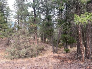 Photo 9: Lot 4 CROOKED TREE PLACE in Fairmont Hot Springs: Vacant Land for sale : MLS®# 2468003