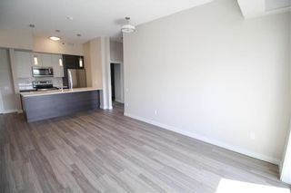 Photo 32: 111 70 Philip Lee Drive in Winnipeg: Crocus Meadows Condominium for sale (3K)  : MLS®# 202213240