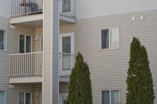 Photo 14: 213 56 Carroll Crescent: Red Deer Apartment for sale : MLS®# A1198481