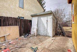 Photo 28: 8516 47 Avenue NW in Calgary: Bowness Detached for sale : MLS®# A1202087
