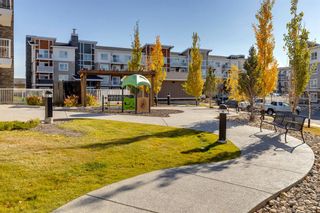 Photo 39: 3103 302 Skyview Ranch Drive NE in Calgary: Skyview Ranch Apartment for sale : MLS®# A2006897