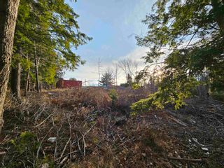 Photo 14: 21 Thorburn Road in Greenwood: 108-Rural Pictou County Vacant Land for sale (Northern Region)  : MLS®# 202325112
