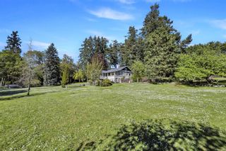 Photo 51: 4061 Holland Ave in Saanich: SW Strawberry Vale House for sale (Saanich West)  : MLS®# 904069