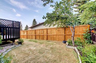 Photo 49: 143 Edgehill Place in Calgary: Edgemont Detached for sale : MLS®# A1253229