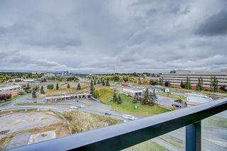 Photo 16: 1107 8710 Horton Road SW in Calgary: Haysboro Apartment for sale : MLS®# A2041658