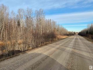 Photo 2: Twp 484 RR 60: Rural Brazeau County Vacant Lot/Land for sale : MLS®# E4373381