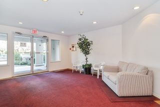 Photo 15: 302 6440 197 Street in Langley: Willoughby Heights Condo for sale in "THE KINGSWAY" : MLS®# R2420735
