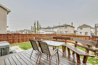 Photo 37: 449 Evanston View NW in Calgary: Evanston Detached for sale : MLS®# A2049902