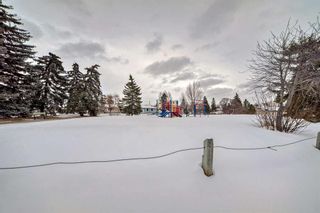 Photo 39: 504 Penworth Drive SE in Calgary: Penbrooke Meadows Detached for sale : MLS®# A2118712
