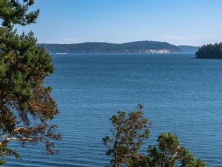 Photo 58: 3356 Stephenson Point Rd in Nanaimo: Na Hammond Bay House for sale : MLS®# 915381