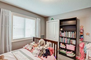 Photo 28: 45 SHERWOOD Heights NW in Calgary: Sherwood Detached for sale : MLS®# A2050847