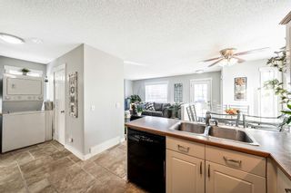 Photo 21:  in Calgary: Bridlewood Detached for sale : MLS®# A2021959