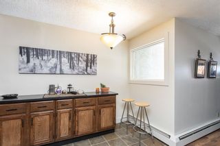 Photo 6: 302 7031 Gray Drive: Red Deer Apartment for sale : MLS®# A2049276