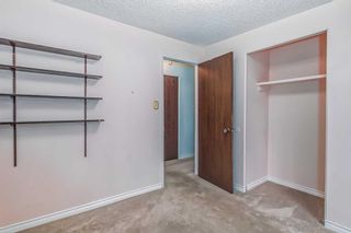 Photo 15: 7006 54 Avenue NW in Calgary: Silver Springs Semi Detached (Half Duplex) for sale : MLS®# A2079697