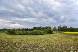 Photo 46: Vandale Road Acreage in Aberdeen: Residential for sale (Aberdeen Rm No. 373)  : MLS®# SK928971
