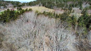 Photo 3: Lot Highway 217 in Tiverton: Digby County Vacant Land for sale (Annapolis Valley)  : MLS®# 202208839