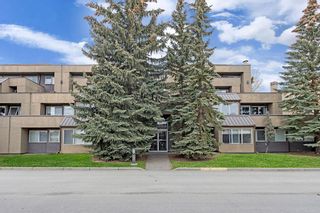 Photo 24: 5 207 Village Terrace SW in Calgary: Patterson Apartment for sale : MLS®# A2045542