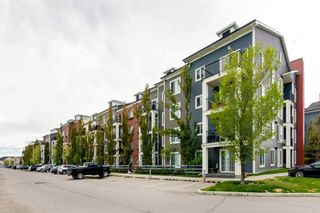 Main Photo: 3407 755 Copperpond Boulevard SE in Calgary: Copperfield Apartment for sale : MLS®# A2135867