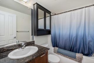 Photo 11: 702 3820 Brentwood Road NW in Calgary: Brentwood Apartment for sale : MLS®# A2116715