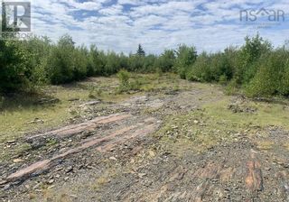 Photo 8: Lot Haines 2 Road in Midville Branch: Vacant Land for sale : MLS®# 202221123