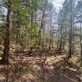 Photo 9: Lot 9 Old Trunk Highway 3 in Hebbs Cross: 405-Lunenburg County Vacant Land for sale (South Shore)  : MLS®# 202300314