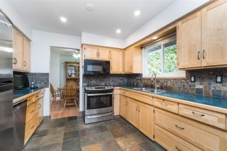 Photo 15: 3124 BABICH Street in Abbotsford: Central Abbotsford House for sale : MLS®# R2480951