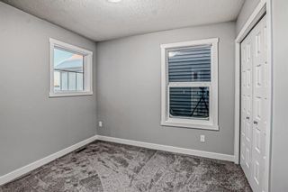 Photo 35: 144 Homestead Grove NE in Calgary: C-686 Detached for sale : MLS®# A2011705