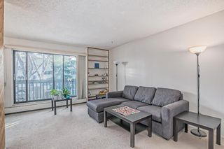Photo 17: 28 3519 49 Street NW in Calgary: Varsity Apartment for sale : MLS®# A2011852
