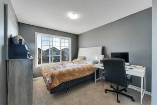 Photo 27: 64 Skyview Point Terrace in Calgary: Skyview Ranch Detached for sale : MLS®# A2031835
