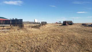 Photo 18: 28528 RR 41 Range Road 41: Oyen Agriculture for sale : MLS®# A1184744
