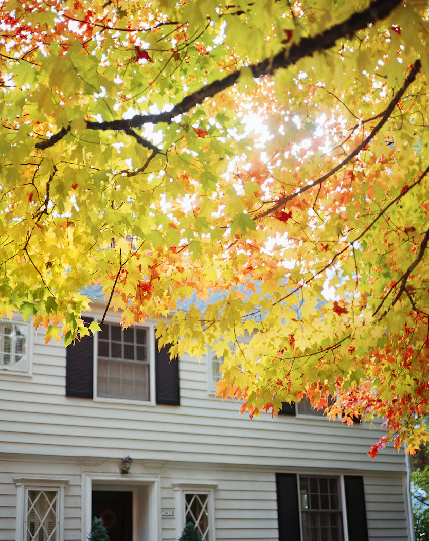 Why Fall Is the Perfect Time to List Your Home