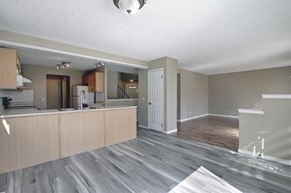 Photo 19: 62 Harvest Park Circle NE in Calgary: Harvest Hills Detached for sale : MLS®# A1098128