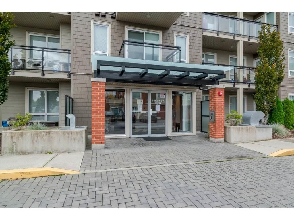 Main Photo: A301 20211 66 AVENUE in : Willoughby Heights Condo for sale : MLS®# R2207533