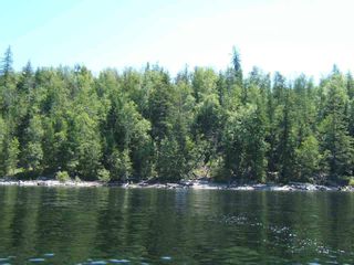 Photo 9: 4533 Rea Road in Eagle Bay: Waterfront Lot Land Only for sale : MLS®# 10058088