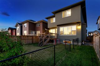 Photo 41: 103 Evansfield Rise NW in Calgary: Evanston Detached for sale : MLS®# A1254654