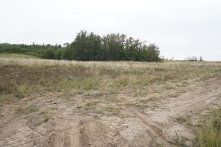 Photo 8: 17 53214 RR 13: Rural Parkland County Rural Land/Vacant Lot for sale : MLS®# E4270601