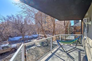 Photo 19: 14 210 25 Avenue SW in Calgary: Mission Apartment for sale : MLS®# A2114263