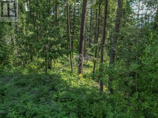 Photo 19: Lot 25 Forest View Place in Blind Bay: Vacant Land for sale : MLS®# 10278634
