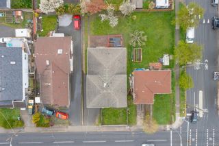 Photo 5: 1 2559 Cook St in Victoria: Vi Oaklands Half Duplex for sale : MLS®# 936819