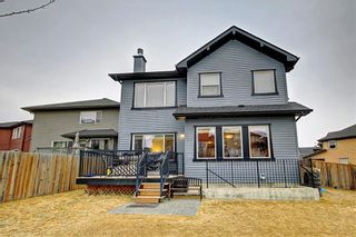 Photo 39: 135 EVANSPARK Terrace NW in Calgary: Evanston Detached for sale : MLS®# C4293070