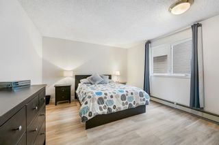 Photo 16: 504 333 2 Avenue NE in Calgary: Crescent Heights Apartment for sale : MLS®# A2020021