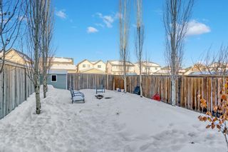 Photo 3: 225 Elgin Place SE in Calgary: McKenzie Towne Semi Detached (Half Duplex) for sale : MLS®# A2032835
