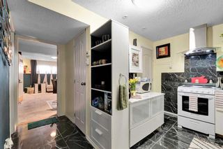 Photo 25: 56 Erin Circle SE in Calgary: Erin Woods Detached for sale : MLS®# A2122813