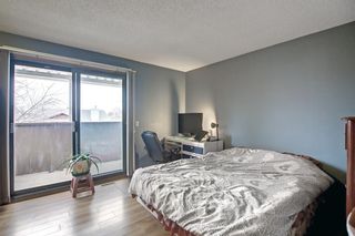 Photo 25: 33 Templeton Bay NE in Calgary: Temple Detached for sale : MLS®# A1199751