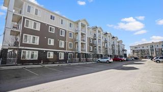 Photo 40: 4303 522 Cranford Drive SE in Calgary: Cranston Apartment for sale : MLS®# A2123266